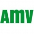 AMV Seguros