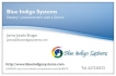 Blue Indigo Systems : disseny i posicionament web a Girona