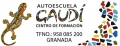 AUTOESCUELA GAUDI