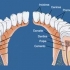 Almudent Clínica Dental y Podológica