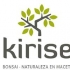 KIRISE