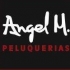 ANGEL MOLINA PELUQUERA