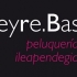 PELUQUERIA LEYRE BAS