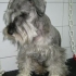 LORSI