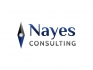Nayes Consulting, Desarrollo Empresarial, S.L. 