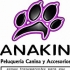 ANAKIN