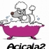 ACICALA2