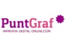 Puntgraf