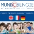 Mundo Bilingüe academia de Idiomas de Inglés, Francés y Alemán