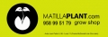 Matilla Plant | Grow shop barato