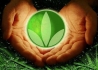 Centro de nutricion Herbalife Llauri