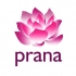 Prana Albacete - Reiki, yoga y meditación