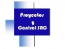 Proyectos y Control SAC