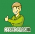 Csped Prosur