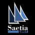 Saetia Technologies