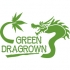 SEMILLAS DE MARIHUANA | GROW SHOP ONLINE | CULTIVO DE MARIHUANA - Green Dragrown