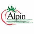 Alpinsur