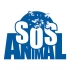 Academia de peluquería canina SOS Animal