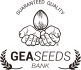 Gea Seeds
