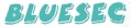 Tintorería Bluesec