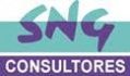 SNG Consultores