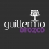 Guillermo Orozco - Psicólogo y Psicoterapeuta