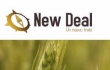 New Deal - Coaching ejecutivo y empresarial en Barcelona