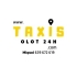 Taxis Olot Miquel