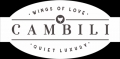 Cambili Shoes