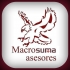 MacroSuma Asesores