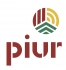 Piur