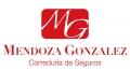 Mendoza González Seguros