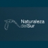 Naturaleza del Sur: Tours Ornitológicos, Fotografía, Educación Ambiental, y Proyectos de Conservación