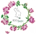 Ecobaby - Ecografa 5D