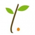 Ecoalimentaria