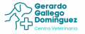 Gerardo Gallego Dominguez