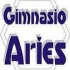 GIMNASIO ARIES