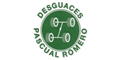 DESGUACES PASCUAL ROMERO