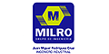 GRUPO DE INGENIERÍA MILRO