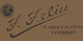 FLORES F. FELIÚ