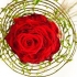 VALLS FLORS