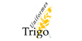UNIFORMES TRIGO