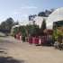 VIVEROS EL ROBLE