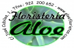 FLORISTERIA ALOE