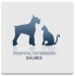 HOSPITAL VETERINARI BALMES, BARCELONA