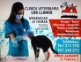 CLNICA VETERINARIA LOS LLANOS