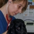 CLÍNICA VETERINARIA SANTO DOMINGO