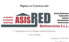 ASISRED SERVICIOS INTEGRALES