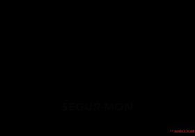 SEGUR - MON S.L.