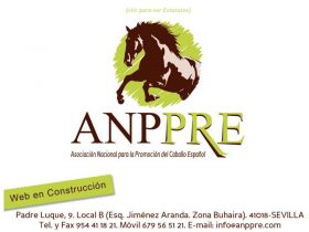 ANPPRE - ASOCIACIN NACIONAL PARA LA PROMOCIN DEL CABALLO ESPAOL